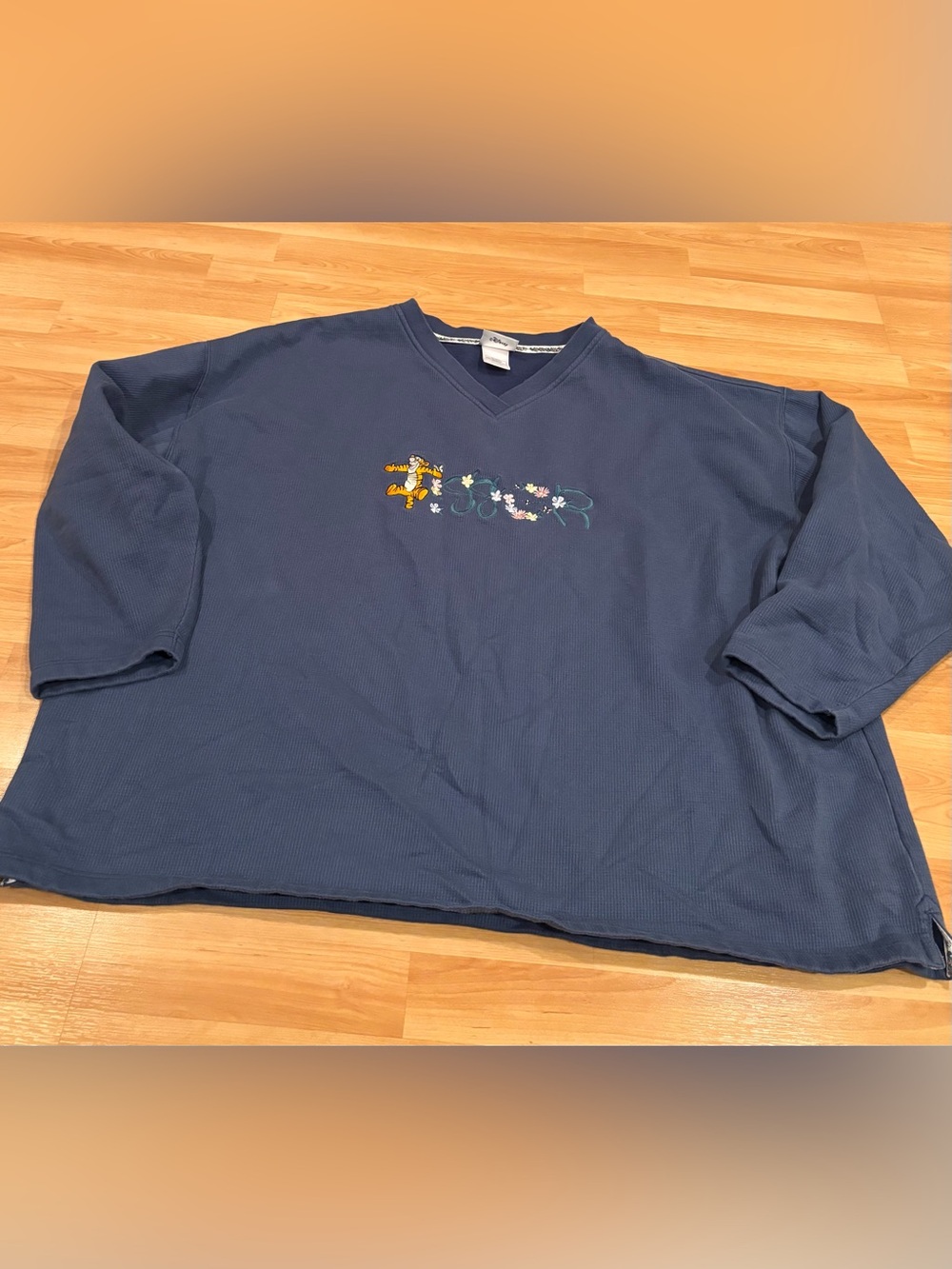 Walt Disney World Blue V Neck Sweatshirt with Embroidered Tigger